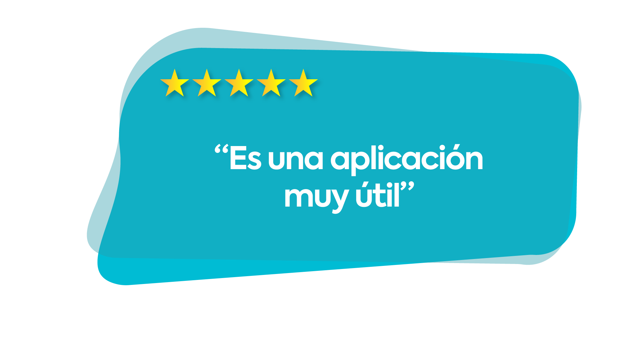 Review 4